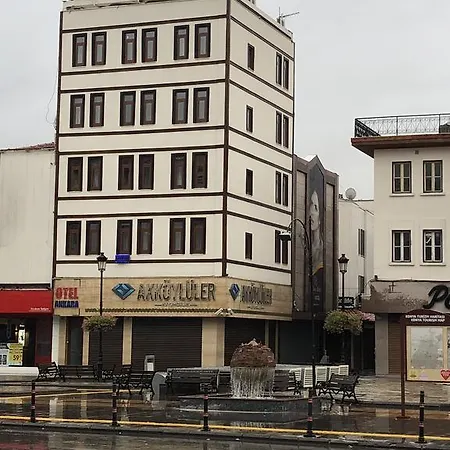 Hotel Ankara 3*